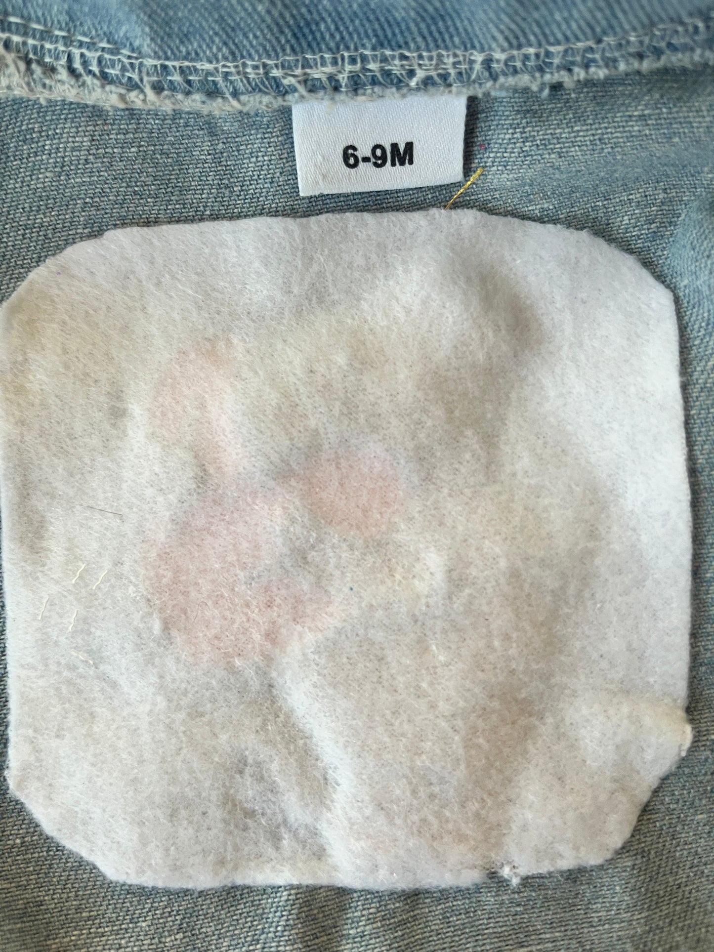 Baby Gap Denim Shirt with Tigger